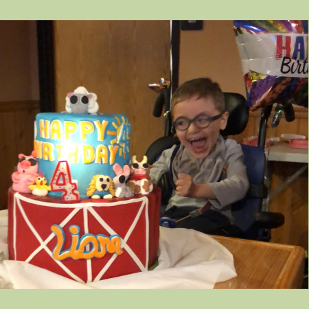 boy with a farm cake